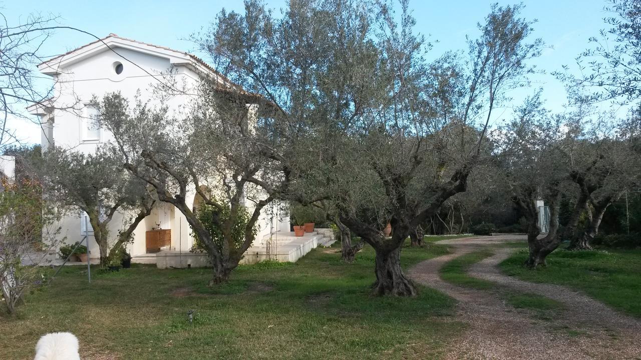 Villa Feia Katakolo Exterior photo